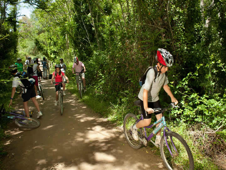 Bicycle Rental Bicicletas Verde Vía